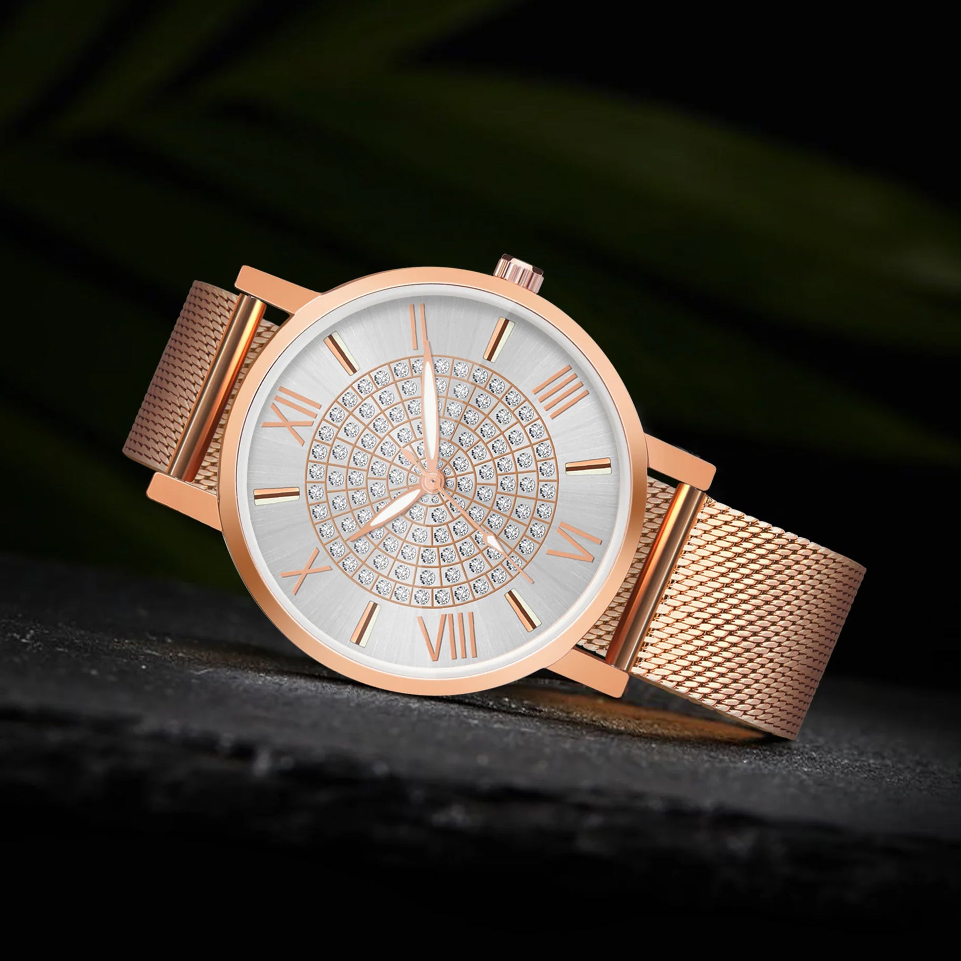 Aria Embellished Silver Dial Analogue Watch For Women