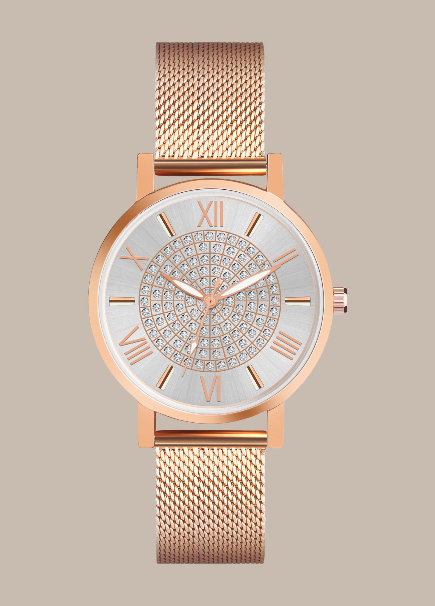 Aria Embellished Silver Dial Analogue Watch For Women