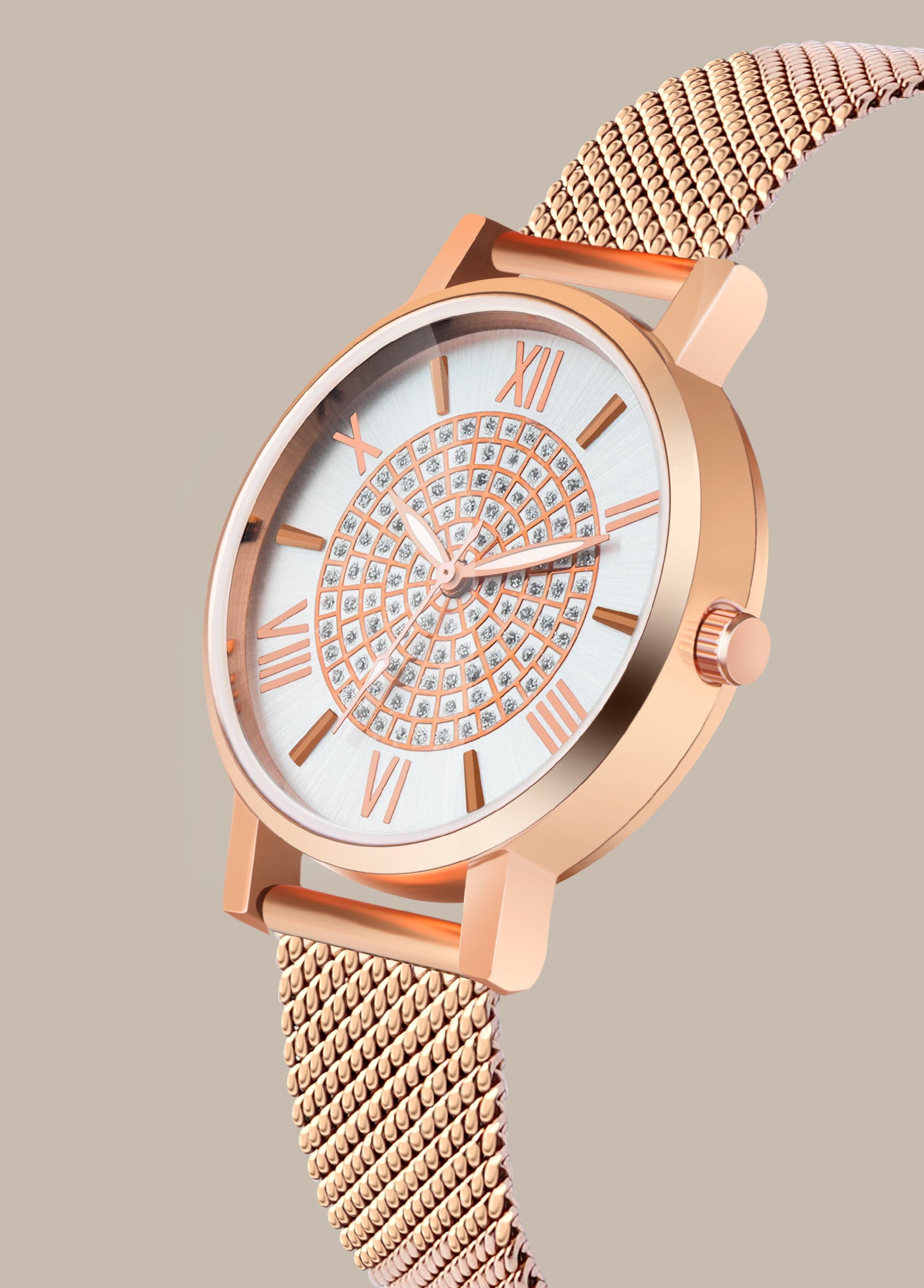 Aria Embellished Silver Dial Analogue Watch For Women