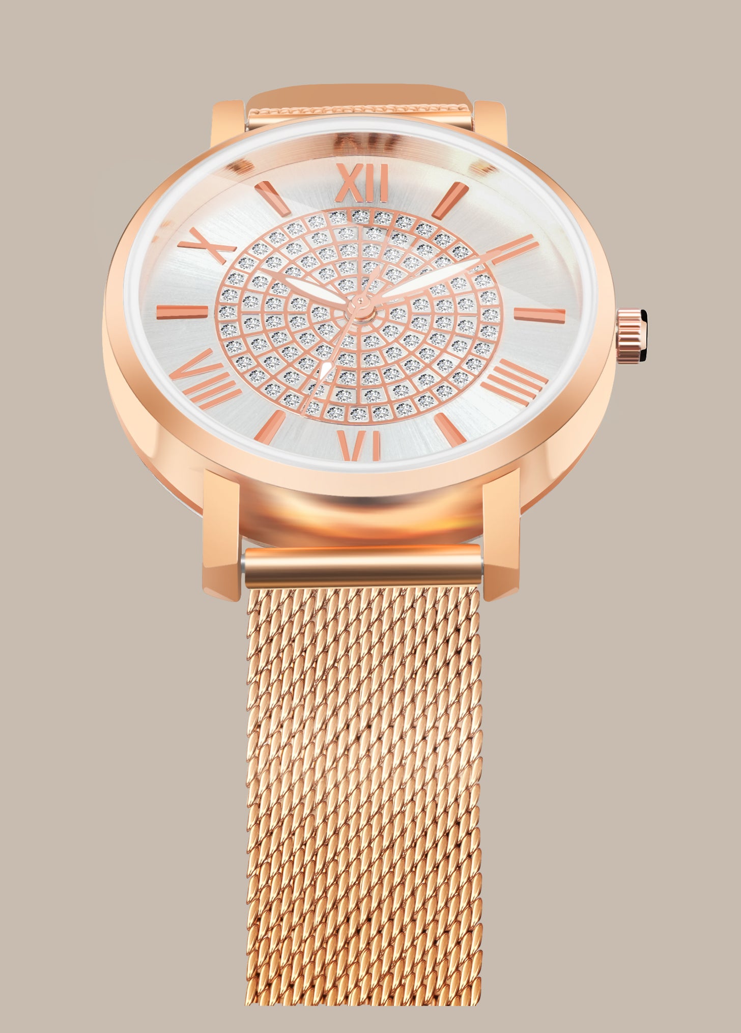 Aria Embellished Silver Dial Analogue Watch For Women