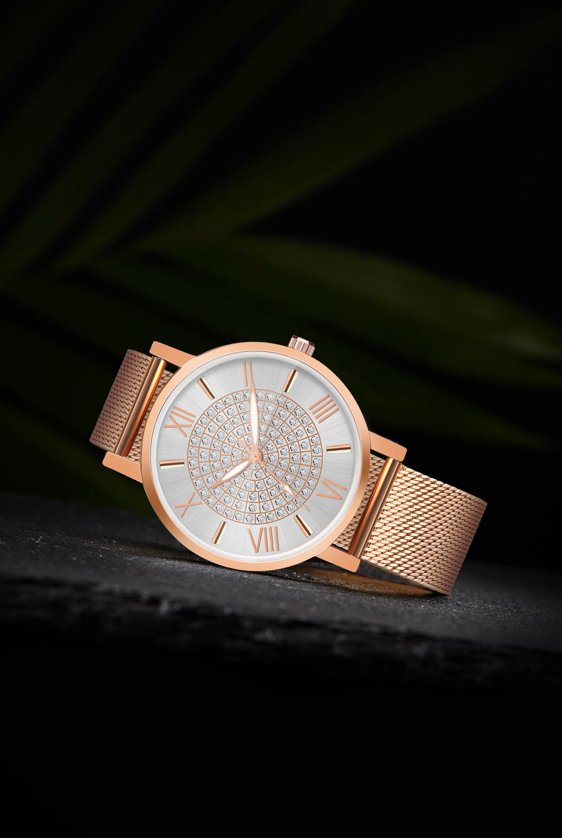 Aria Embellished Silver Dial Analogue Watch For Women